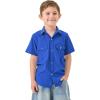 313royal Blue