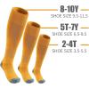 imageQBK Youth Baseball Socks ampamp Belt Combo Set for Kids 216 Years SoftballTee Ball Accessories 1 Pair  1 Belt UnisexEbaseball Socksyellow