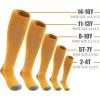 imageQBK 216Y Toddler Baseball Socks And Belt Youth Softball Tee Ball Combo Set for Boy Girl 2 Pairs of Socks ampamp 1 BeltEsoftbal Socksyellow