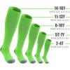 imageQBK 216Y Toddler Baseball Socks And Belt Youth Softball Tee Ball Combo Set for Boy Girl 2 Pairs of Socks ampamp 1 BeltKsoftbal Socksneon Green