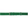 imageQBK Toddler And Youth BaseballSoftball Belt Kids Elastic Adjustable Uniform Belt For Boys And Girls  In Multiple ColorsGreen